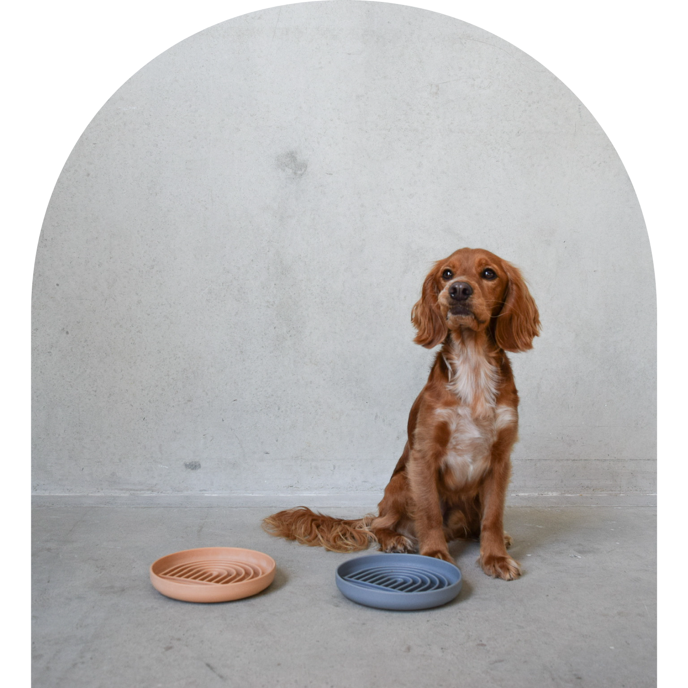 The Cahli Bowl - Slow Feeder & Lick Bowl in Peach