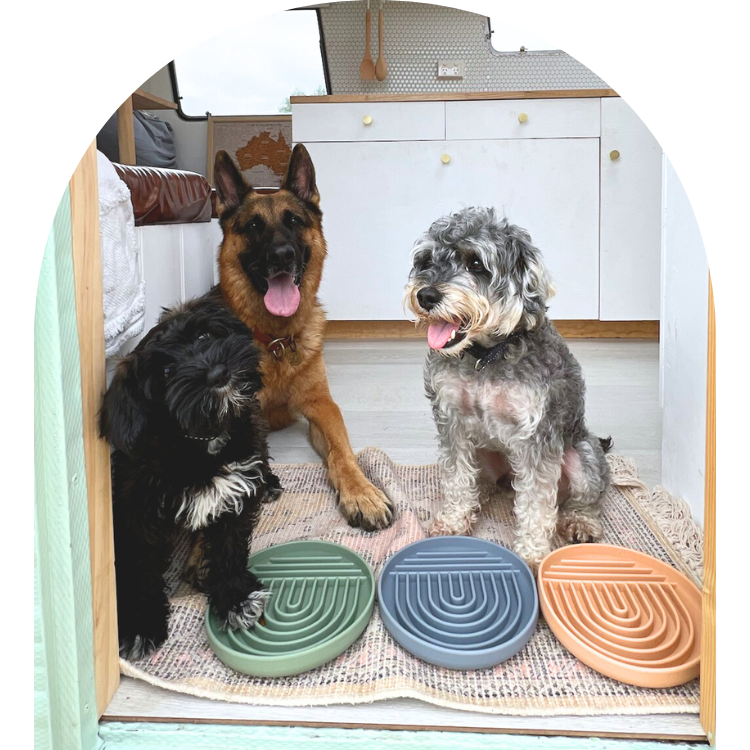 The Cahli Bowl - Slow Feeder & Lick Bowl in Peach